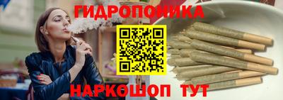 дмт Будённовск