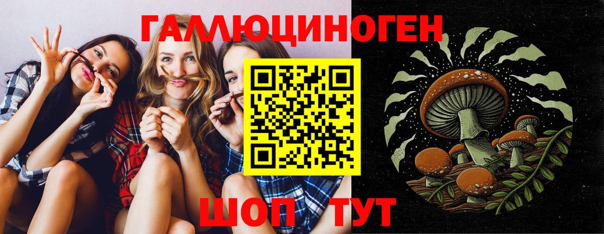 Псилоцибиновые грибы прущие грибы Тимашёвск