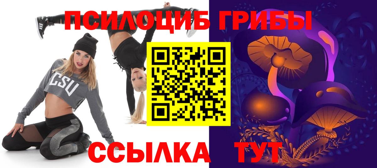 Тимашёвск  Галлюциногенные грибы прущие грибы  Вход с VPN 